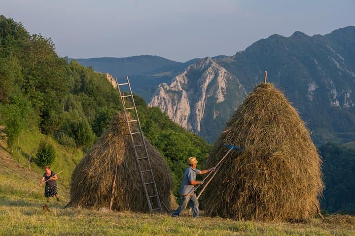 Two farmers stacking tall haystacks on a hillside, ladder propped nearby, mountainous backdrop at dusk.